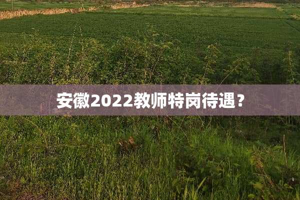安徽2022教师特岗待遇？