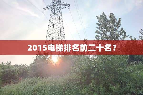 2015电梯排名前二十名？