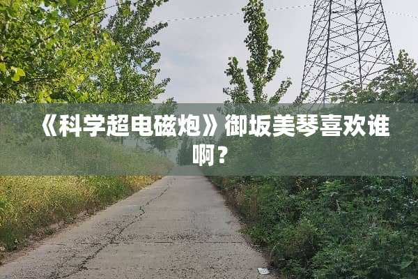 《科学超电磁*》御坂美琴喜欢谁啊？