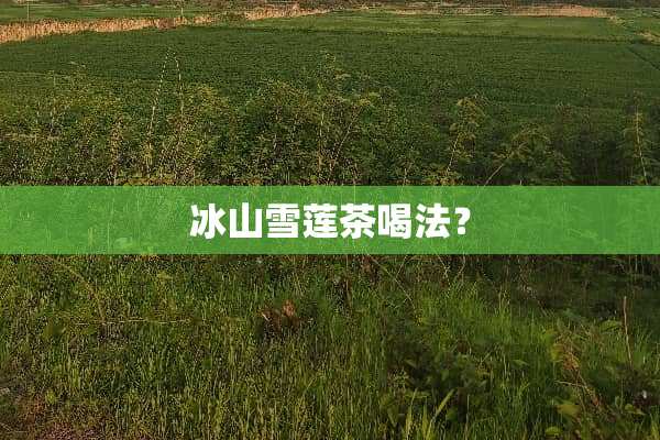 冰山雪莲茶喝法？