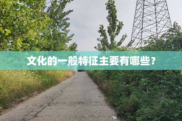 文化的一般特征主要有哪些？