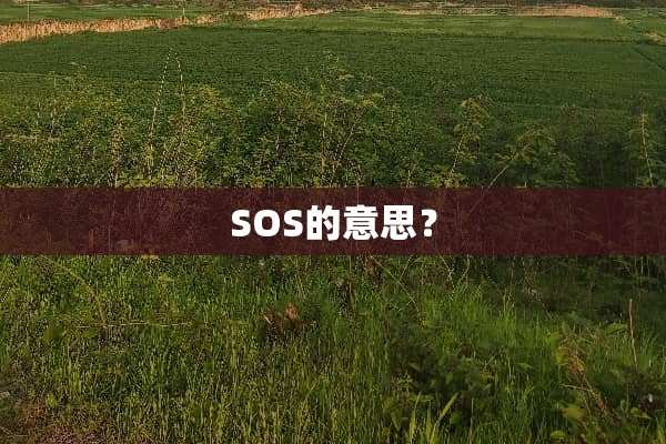 SOS的意思？