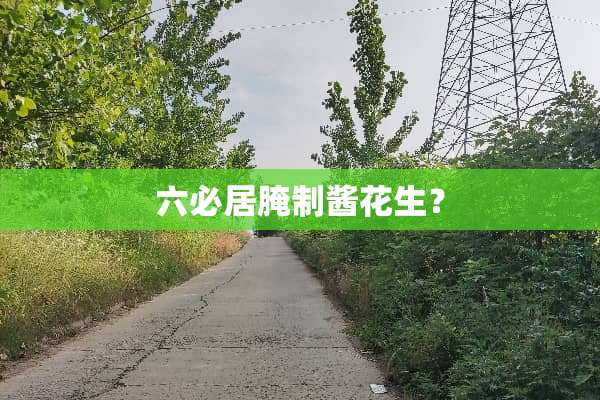 六必居腌制酱花生？