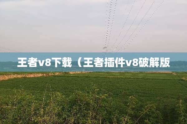 王者v8下载（王者插件v8**版