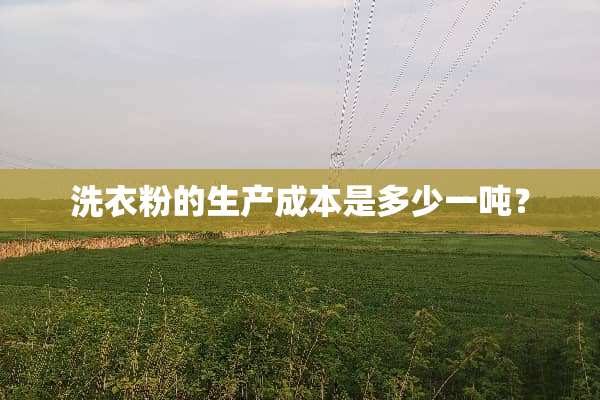 洗衣粉的生产成本是多少一吨？