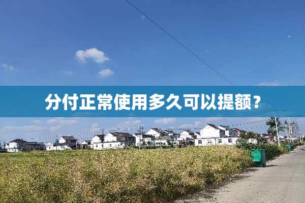 分付正常使用多久可以提额？