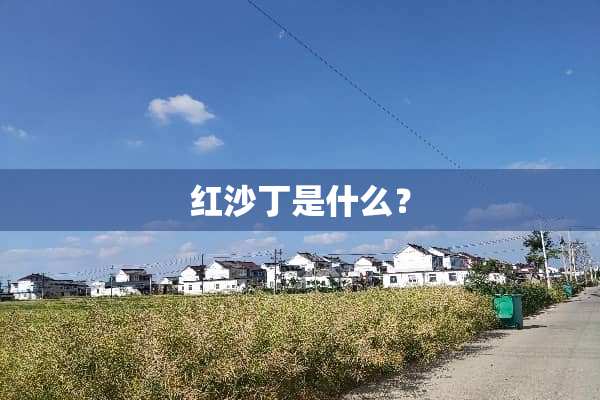 红沙丁是什么？