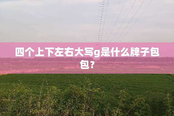 四个上下左右大写g是什么牌子包包？