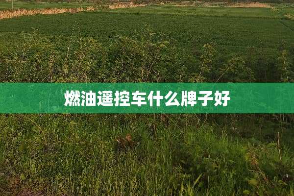 燃油遥控车什么牌子好