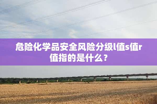 危险化学品安全风险分级l值s值r值指的是什么？