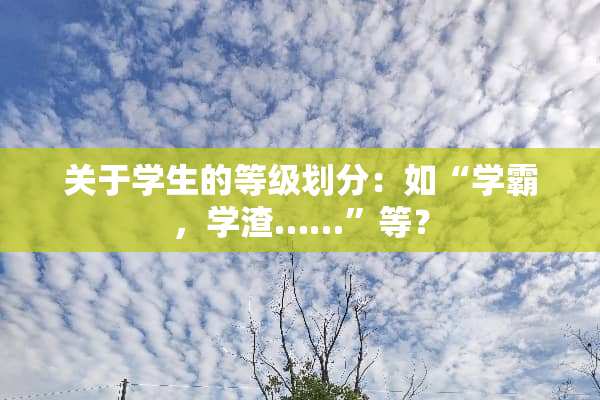 关于学生的等级划分：如“学霸，学渣……”等？