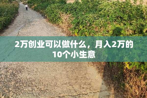 2万创业可以做什么，月入2万的10个小生意