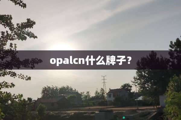 opalcn什么牌子？