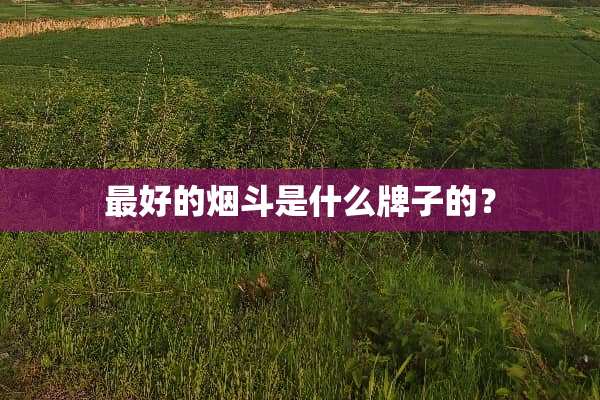 最好的烟斗是什么牌子的？