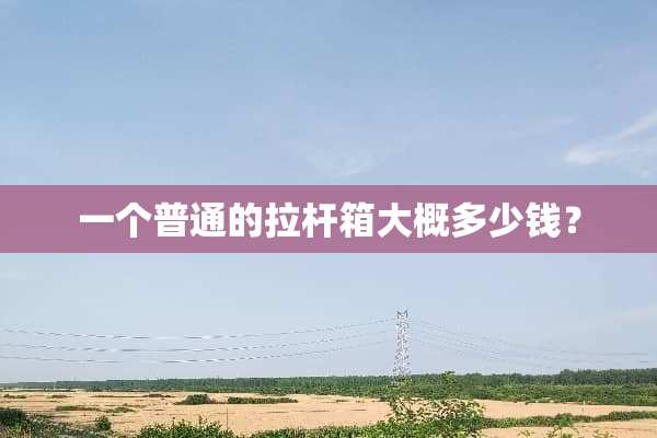 一个普通的拉杆箱大概多少钱？