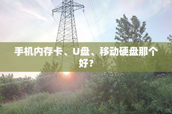 手机内存卡、U盘、移动硬盘那个好？