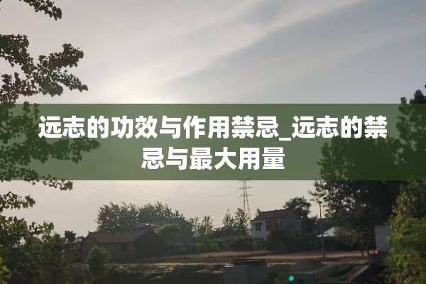远志的功效与作用禁忌_远志的禁忌与最大用量