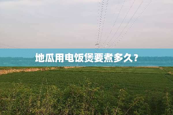 地瓜用电饭煲要煮多久？