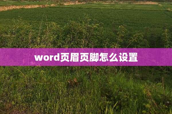 word页眉页脚怎么设置