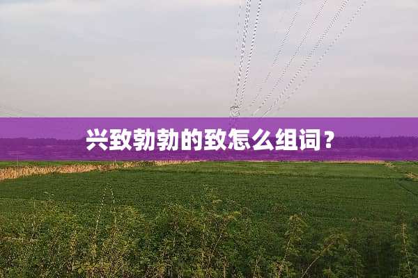 兴致勃勃的致怎么组词？