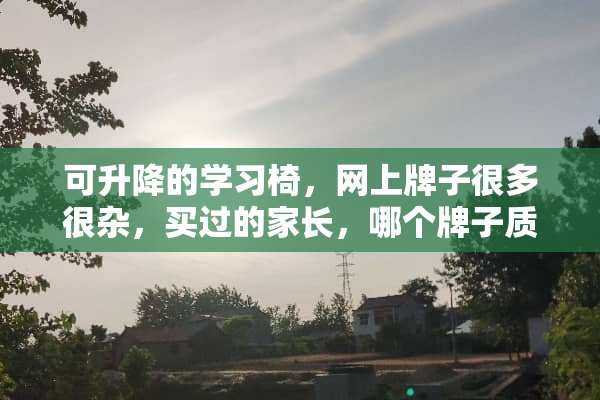 可升降的学习椅，网上牌子很多很杂，买过的家长，哪个牌子质量比较好点？