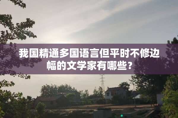 我国精通多国语言但平时不修边幅的文学家有哪些？