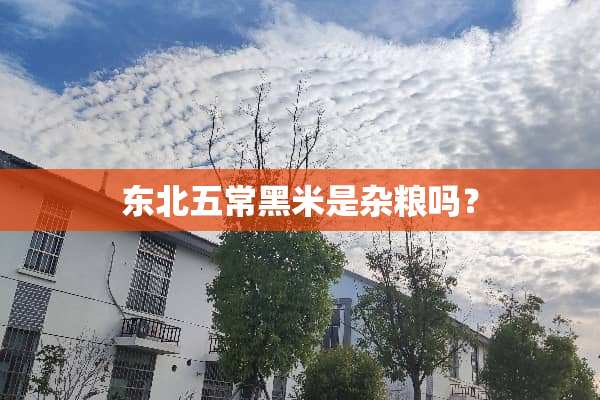 东北五常黑米是杂粮吗？