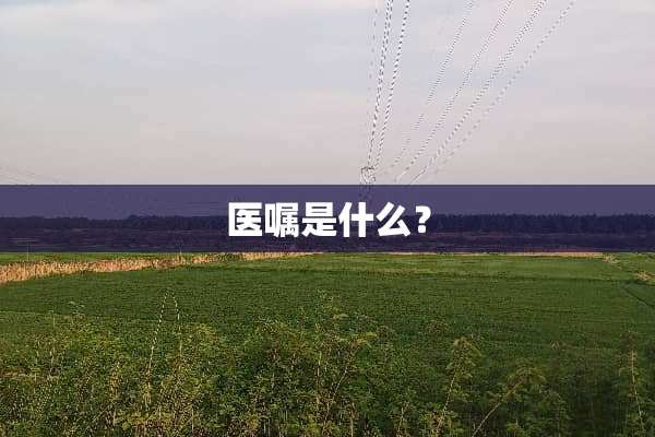 医嘱是什么？