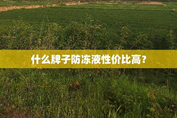 什么牌子防冻液性价比高？