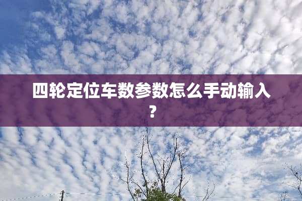 四轮定位车数参数怎么手动输入？