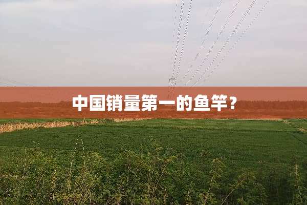 中国销量第一的鱼竿？
