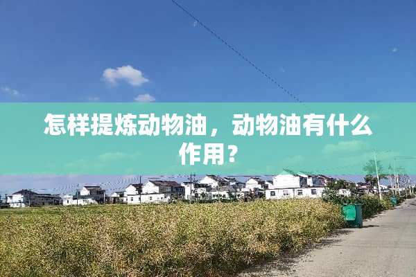 怎样提炼动物油，动物油有什么作用？