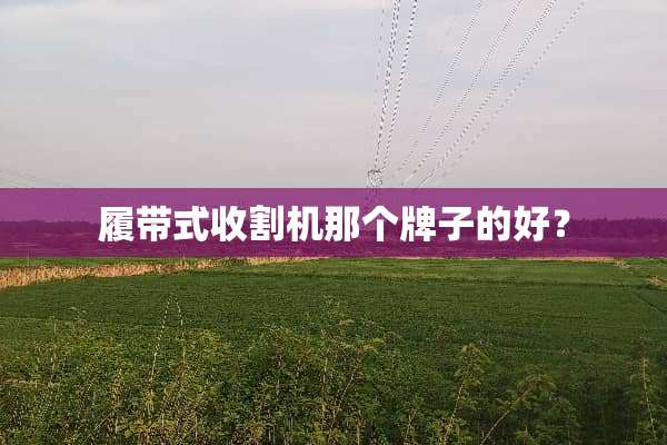 履带式收割机那个牌子的好？
