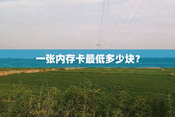 一张内存卡最低多少块？