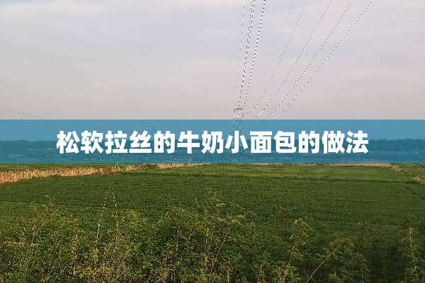 松软拉丝的牛奶小面包的做法