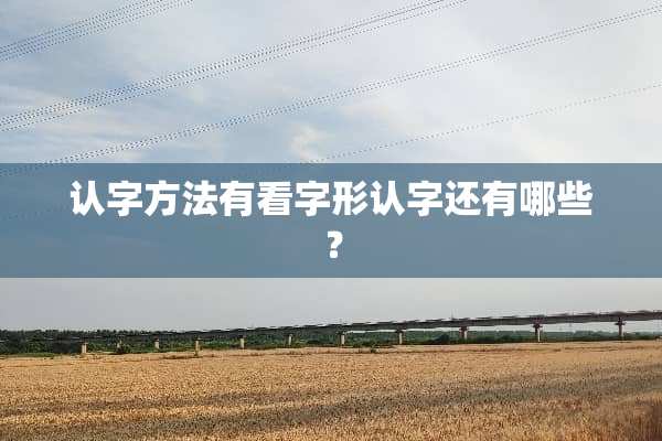 认字方法有看字形认字还有哪些？