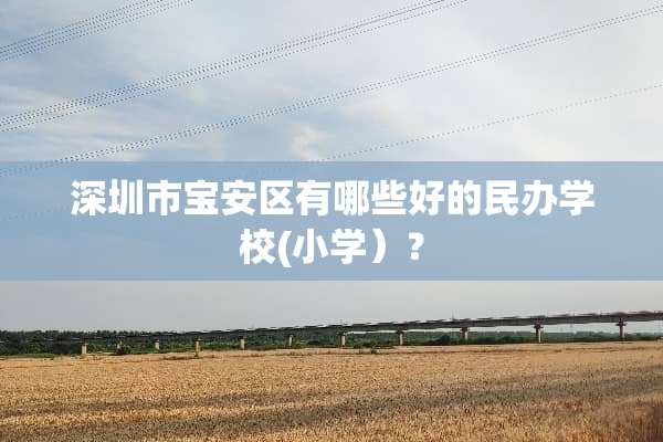 深圳市宝安区有哪些好的民办学校(小学）？