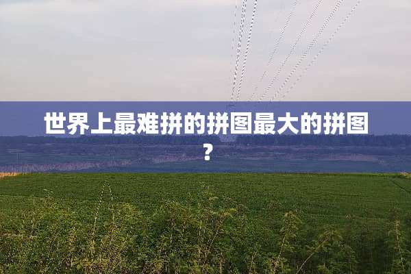 世界上最难拼的拼图最大的拼图？