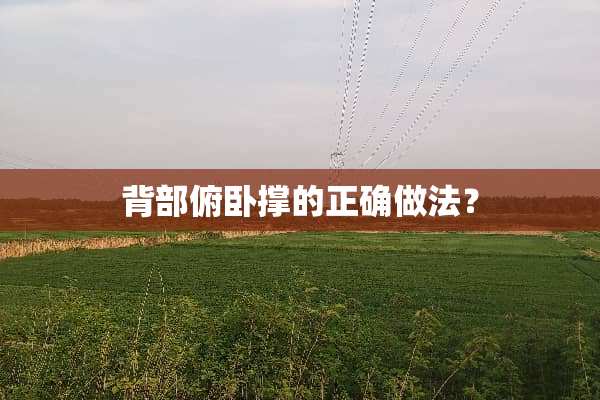背部俯卧撑的正确做法？