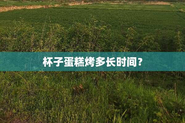 杯子蛋糕烤多长时间？