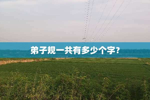 弟子规一共有多少个字？