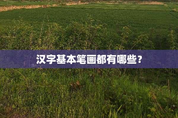 汉字基本笔画都有哪些？