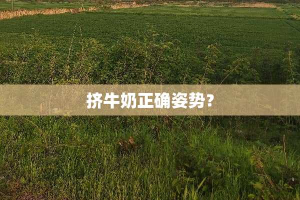 挤牛奶正确姿势？