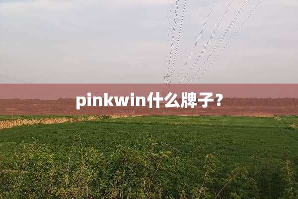 pinkwin什么牌子？