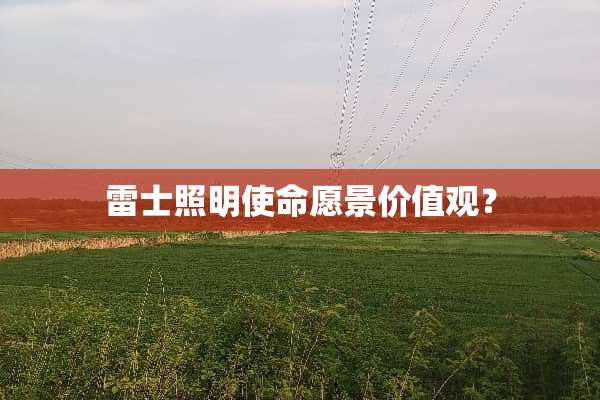 雷士照明使命愿景价值观？