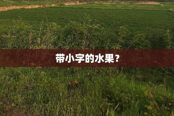 带小字的水果？