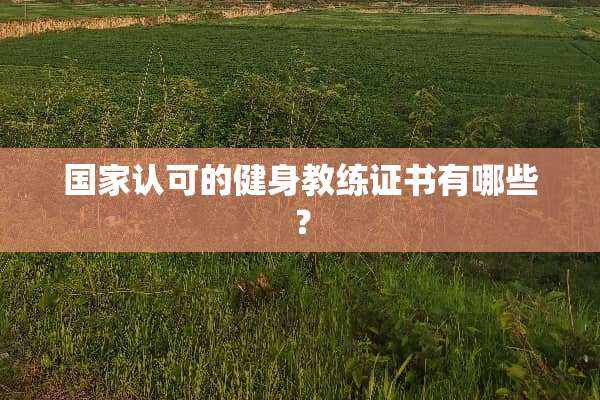 国家认可的健身教练证书有哪些？