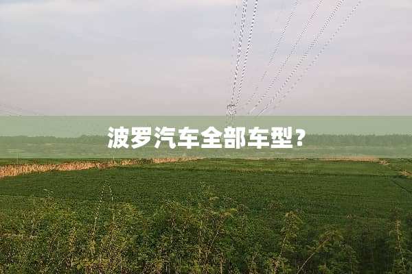 波罗汽车全部车型？