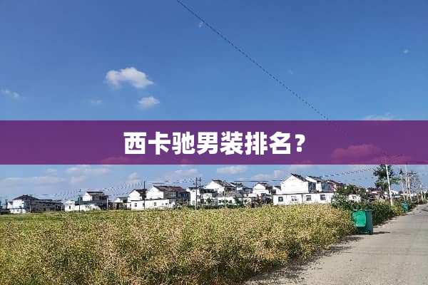 西卡驰男装排名？