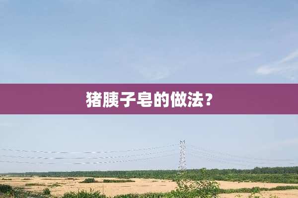 猪胰子皂的做法？